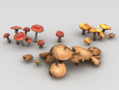 Mushroom mushroom poisonous mushroom 3d model Mushroom mushroom poisonous mushroom 3d model