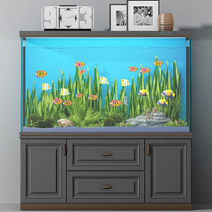 Modern fish tank 3d model