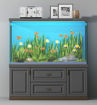 Modern fish tank 3d model