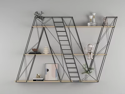 Modern Geometric Metal Frame Wooden Shelves Decorative Ornament Combination With Plants Books Sculptures 3d model