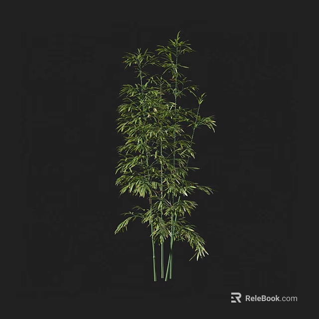 Tall Indoor Bamboo Plant With Lush Green Leaves And Slender Stems 3d model 