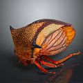 Colorful Insect With Orange Brown Body Red Legs And Textured Spotted Wings Displayed
