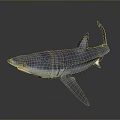 Blue and Purple Shark in Side View with Open Mouth and Fins on Gray Background