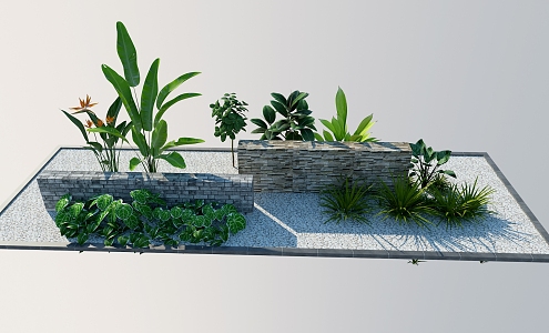 Plant landscape 3d model