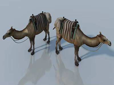 Two Reptiles With Striped Saddles Standing On Light Background With Reflections 3d model