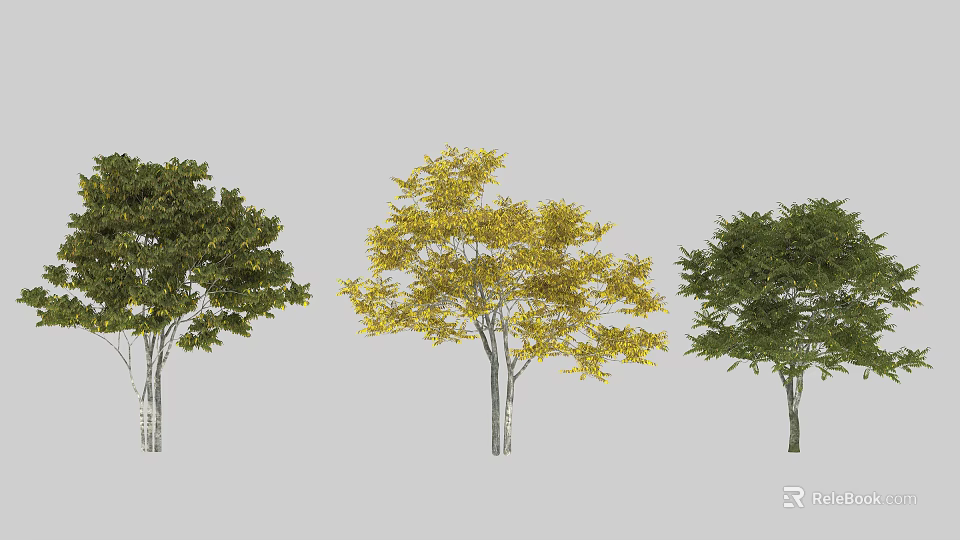Three Arbor Trees Featuring Green and Yellow Foliage in Natural Scene 3d model