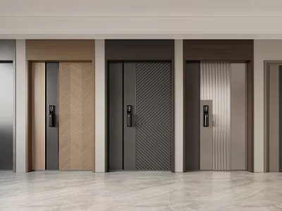 Modern Security Doors Showcasing Various Styles Different Colors And Textured Designs 3d model