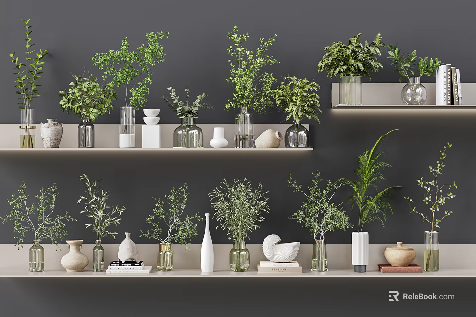 Bonsai Potted Plants Display On Shelves With Green Leaves And Decorative Vases 3d model 