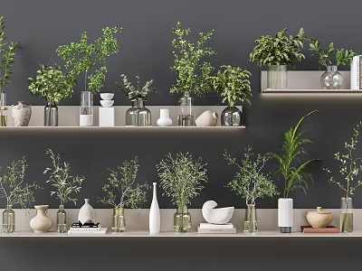Bonsai Potted Plants Display On Shelves With Green Leaves And Decorative Vases 3d model