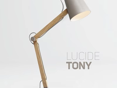 Modern Minimalist Desk Lamp with Wooden Adjustable Arm and Gray Lampshade 3d model