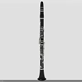 Professional Black Clarinet Wind Instrument With Silver Keys And Polished Body Design