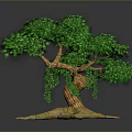 Lush Green Leafy Tree With Curved Trunk Exposed Roots And Gray Background
