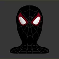 Spider Man Black Helmet With Red Eyes And White Web Patterns Game Movie Character