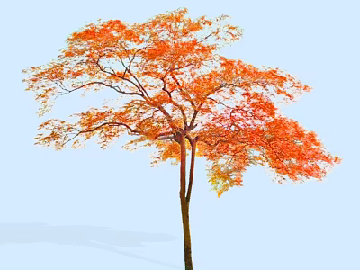 Stunning Arbor Featuring Orange Red Leaves and Brown Trunk Against Light Blue Sky 3d model