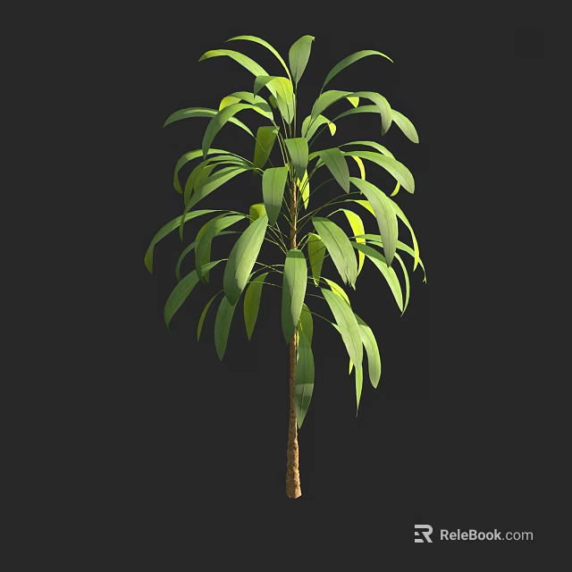 Lush Green Plant With Long Leaves And Brown Trunk On Black Background 3d model 
