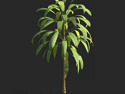 Lush Green Plant With Long Leaves And Brown Trunk On Black Background 3d model