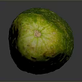 White Cucumber Water Cucumber Dry Cucumber Green Cucumber South China Cucumber European Greenhouse Cucumber Fruit Cucumber 3d model