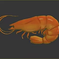 Red Shrimp With Vibrant Color And Glossy Texture On Dark Surface With Reflection 3d model