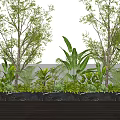 Lush Green Plants And Trees In Outdoor Garden With Wooden Floor And Black Planters