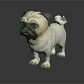 Adorable Pug Dog Standing On Dark Background With Smooth Fur And Shiny Reflection