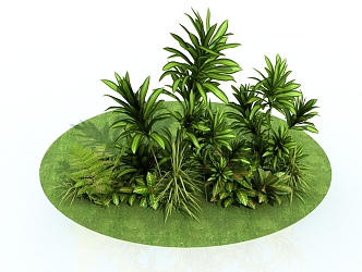 Garden Shrub Combination 3d model