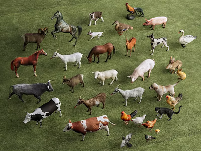 Reptile Toy Models Among Various Animal Figures On Green Grass Field 3d model