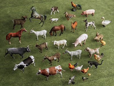 poultry cat chicken duck cow horse sheep pig rabbit cattle sheep dog goose animal combination 3d model