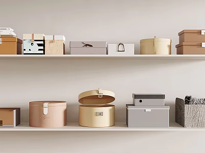 Stylish Storage Boxes Displayed On Wall Shelves 3d model