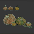 Fresh Pumpkins In Various Sizes And Different Colors On White Background