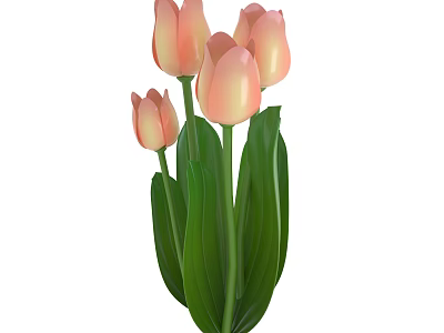 Pink Tulips With Fresh Green Leaves And Blooming Petals In Bouquet 3d model