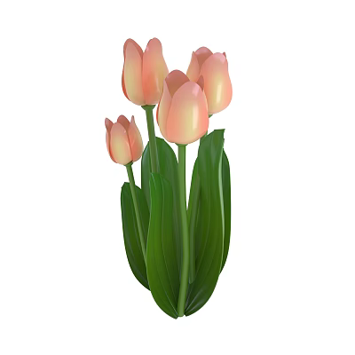 Pink Tulips With Fresh Green Leaves And Blooming Petals In Bouquet 3d model