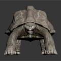 Realistic Turtle With Textured Shell Standing On Dark Surface Detailed Skin And Lifelike Design