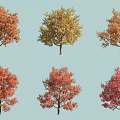 Arbor Trees With Vibrant Autumn Foliage In Orange Yellow And Red Shades