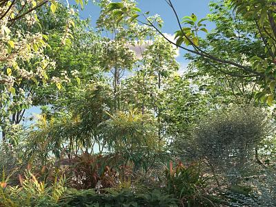 Lush Arboreal Trees In Natural Garden Landscape With Green Foliage And Sunlight 3d model