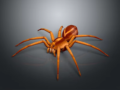 Detailed Brown Spider With Eight Long Legs And Striped Body On Dark Background 3d model