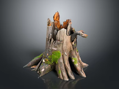 Natural Weathered Tree Stump With Green Moss And Exposed Roots Texture 3d model
