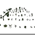 Diverse Green Plants and Leaves Arranged in Various Shapes and Sizes on Black Background