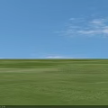 Green Grass Like Plants With White Flower Spikes On Circular Green Surface