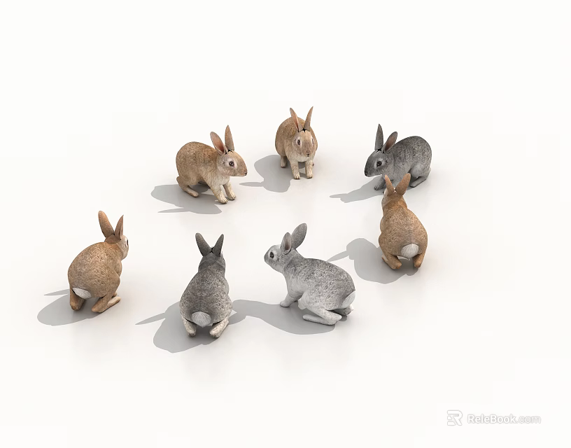 Group Of Small Colorful Reptiles Arranged In Circle On White Background 3d model 