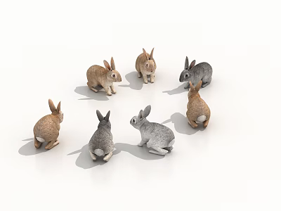 Group Of Small Colorful Reptiles Arranged In Circle On White Background 3d model