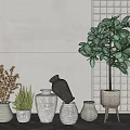 Stylish Indoor Potted Plants With Green Leafy Tree Aloe Vera Dried Branch and Ceramic Vases
