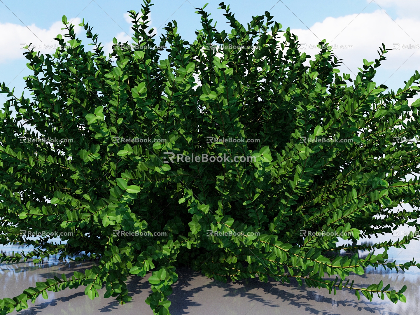 Ornamental Shrubs Ornamental Trees Landscape Trees Wolfberry Plants Wheeltang Courtyard Trees Shrubs 3d model