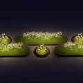 Illuminated Flowers In Night Garden With Green Lawn And Circular Turf Areas