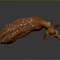 Brown White Spotted Deer With Pink Ears Standing On Dark Background