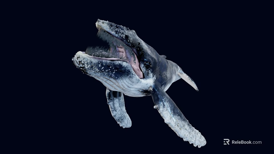 Humpback Whale With Open Mouth And Visible Baleen Plates Against Dark Deep Ocean Background 3d model 