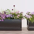 Bonsai Potted Plants in Black LONGWEI Planters with Purple Pink Flowers Green Leaves Perforated Base