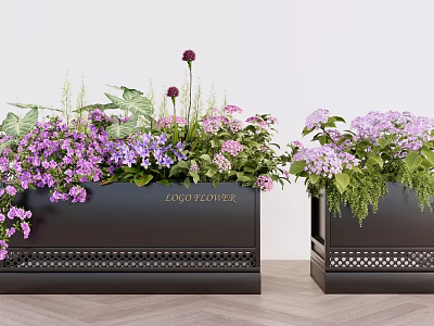Bonsai Potted Plants in Black LONGWEI Planters with Purple Pink Flowers Green Leaves Perforated Base 3d model
