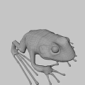 Green Frog Game Movie Character With Detailed Skin Texture And Natural Background