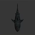 Realistic 3D Shark Model With Detailed Fins And Dark Background Texture