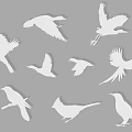 Flying Animals Silhouettes of Various Bird Species in Flying and Perching Positions